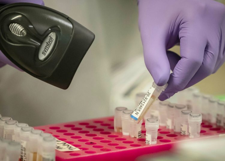 UK identifies new coronavirus variant