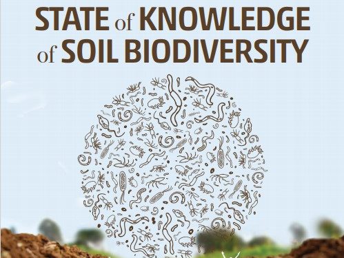 FAO releases a report to mark World Soil Day 1 soil book