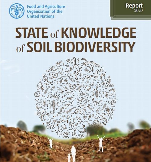 soil book