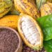 Cocoa beans