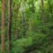 About 1.110m acres of land needed to meet the RET for 2030