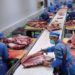 FAO calls for a reconfiguration of Livestock Systems to spur COVID-19 recovery 12 Livestock