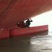Stowaways