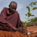 World Bank to invest $5 billion in African Drylands