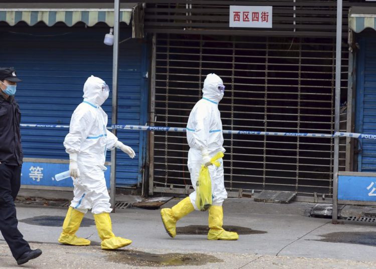 China, WHO should have acted quicker to stop pandemic