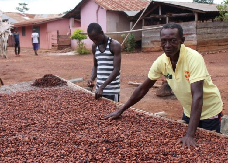 CARE & Cargill highlight a decade of making positive impact in cocoa growing communities 1 CARE and Cargill1 1024x683 1