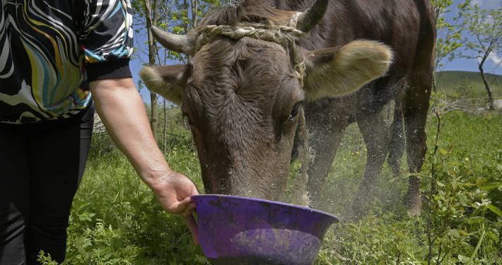 Global Food prices rise sharply in January 2021