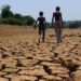 Youth Inclusion In Climate Change Important- Dr. Amoah