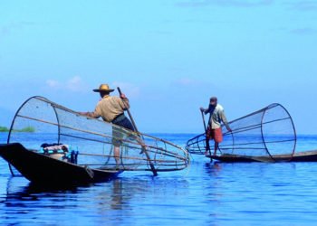 R8853ff12f9592f055ee1d59490ded873