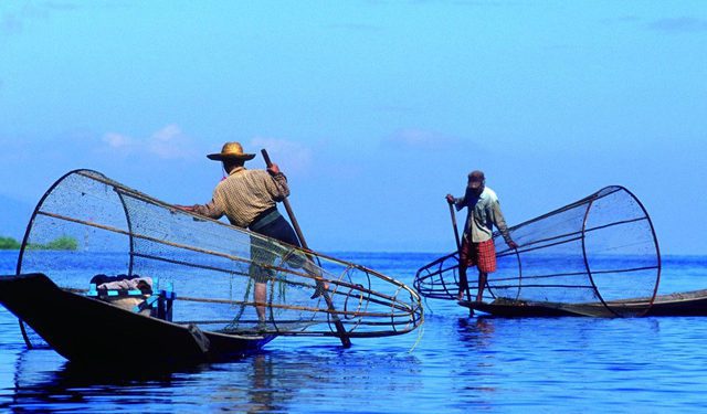 COFI explores sustainable future for Global Fisheries & Aquaculture Industry 1 R8853ff12f9592f055ee1d59490ded873