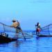 COFI explores sustainable future for Global Fisheries & Aquaculture Industry 12 R8853ff12f9592f055ee1d59490ded873