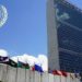 Acute malnutrition threatens half of children under five in Yemen in 2021- UN 11 Acute malnutrition threatens half of children under five in Yemen in 2021- UN