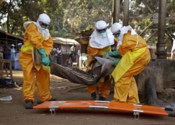 Guinea declares Ebola epidemic as seven cases confirmed