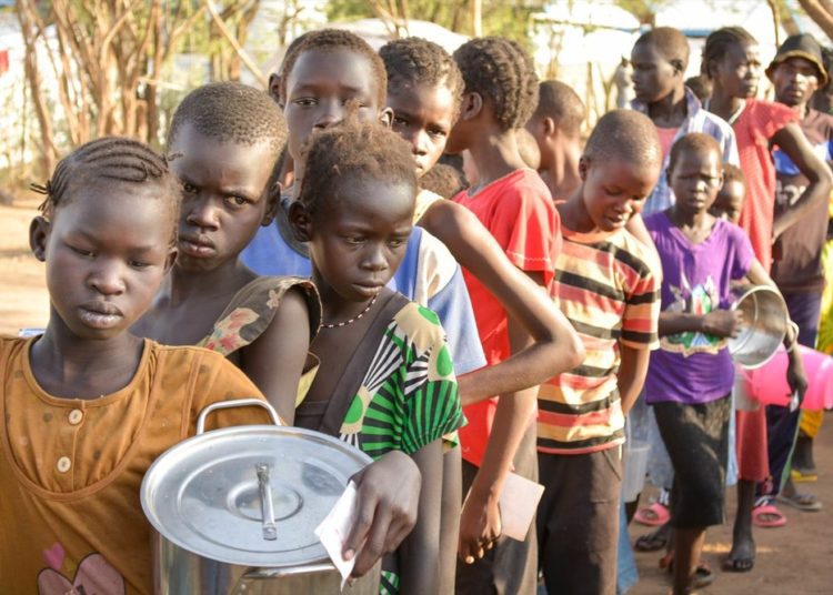 Risk of global food shortages due to Covid-19 has increased- UN