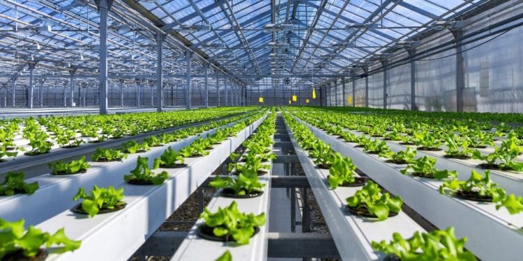 Agri-Tech in Modern farming - where Ghana should be looking