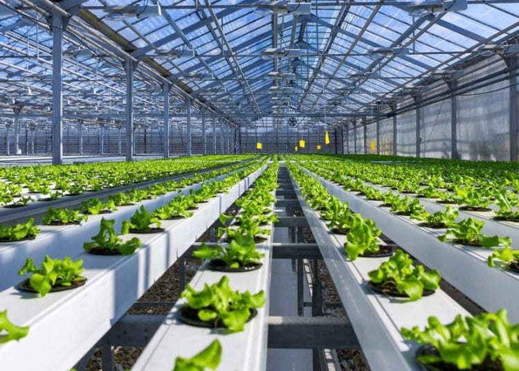 Agri-Tech in Modern farming - where Ghana should be looking