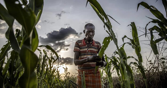 FAO to provide livelihood assistance to nearly 49 million people in 2021