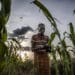 FAO to provide livelihood assistance to nearly 49m people in 2021 12 FAO to provide livelihood assistance to nearly 49 million people in 2021