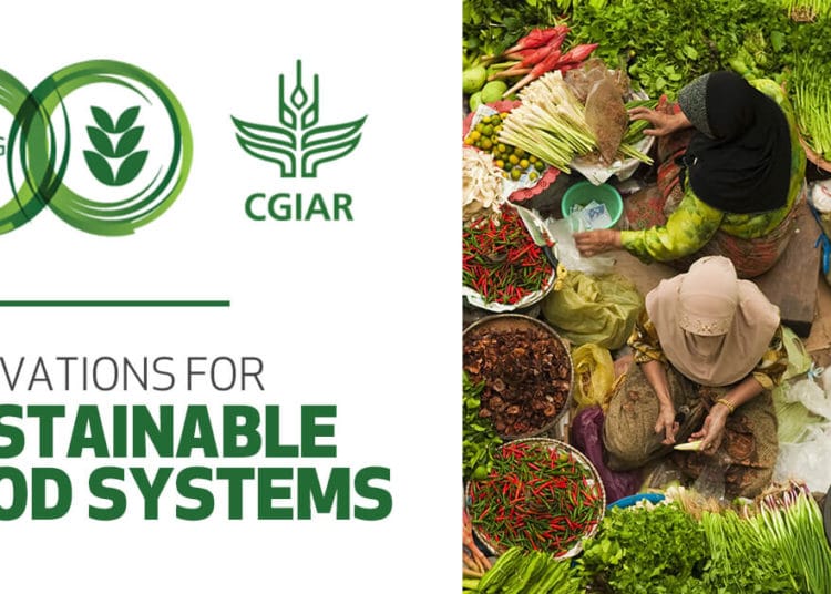 African gov'ts urged to pay attention to the impact of the ‘Triple Cs’ on food systems 1 African gov'ts urged to pay attention to the impact of the ‘Triple Cs’ on food systems