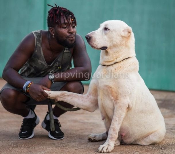 The companionship that exits between a pet owner and his dog. Source: Graceland Kennel