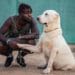 Why Do We Need Pets in Our Homes? 11 The companionship that exits between a pet owner and his dog. Source: Graceland Kennel