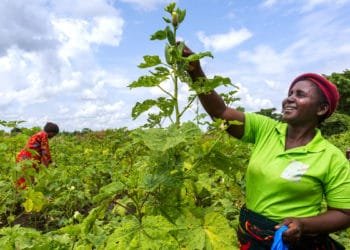 Promoting women economic empowerment in West and Central Africa