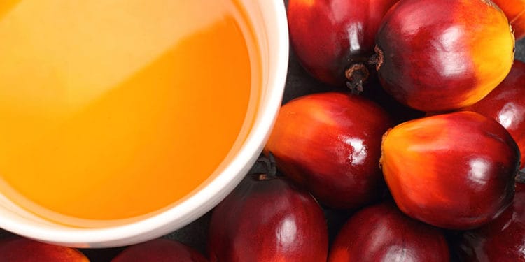 OPDAG calls for collaborative efforts to improve the Oil palm sector 1 Oil Palm Fruit and its finished product
