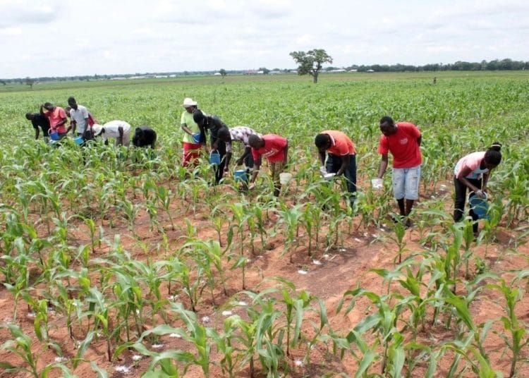 KAC engages youth in Horticulture 1 Youth in Agriculture