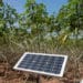 Solar technology helps women farmers in Tanzania cut post-harvest losses 11 Solar technology helps women farmers in Tanzania cut post-harvest losses