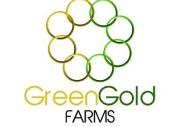 Green Gold Farms engages Youths in Organic Farming