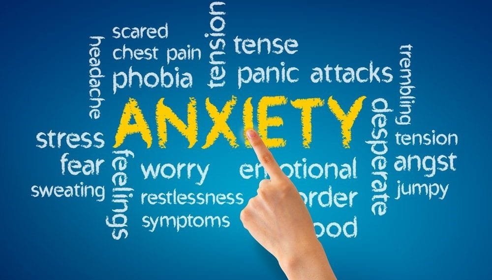 The Evolution of Anxiety: Why We Worry and What to Do About It 1 The Evolution of Anxiety: Why We Worry and What to Do About It.