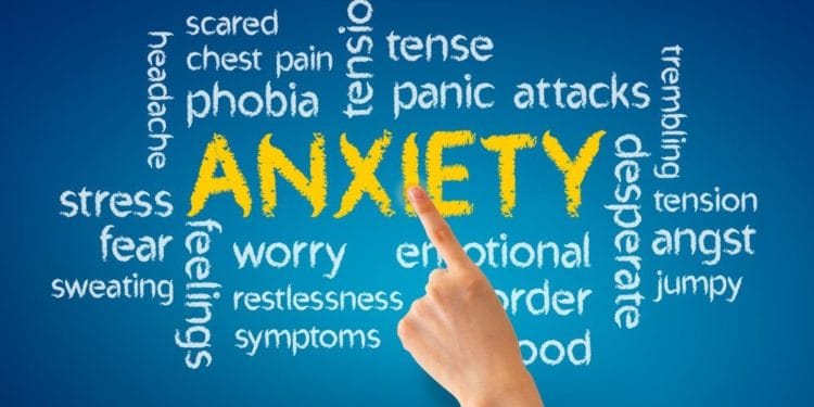 The Evolution of Anxiety: Why We Worry and What to Do About It.