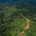 Ghana-China Sinohydro deal poses environmental and social risks to Ghana’s forests- Report
