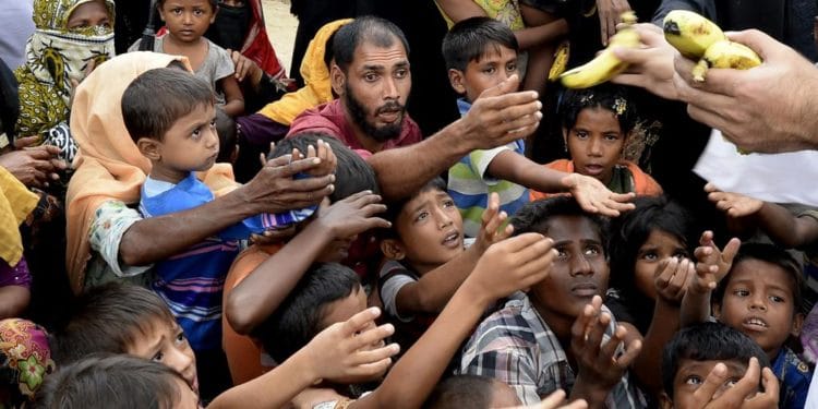 Millions on brink of starvation, Urgent aid needed- NGOs