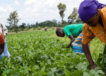 WIAD urges women farmers to add value to their products