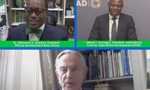 The Virtual High-level Dialogue Event on Feeding Africa