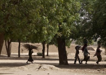 CPF calls for a halt to deforestation 10 CPF calls for a halt to deforestation