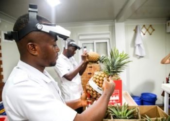 MOAP to organize Agribusiness Fair and Conference in May 2021 3 MOAP to organize Agribusiness Fair and Conference in May 2021