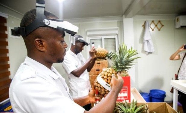 MOAP to organize Agribusiness Fair and Conference in May 2021 1 Contribution of MOAP in pineapple exportations