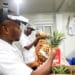MOAP to organize Agribusiness Fair and Conference in May 2021 11 Contribution of MOAP in pineapple exportations