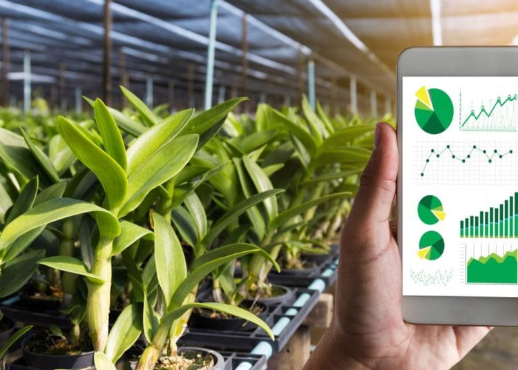 Africa’s Agricultural solutions go digital 1 Banks’ credit to the Agriculture Sector declined by 35.41% year-on-year in April 2021