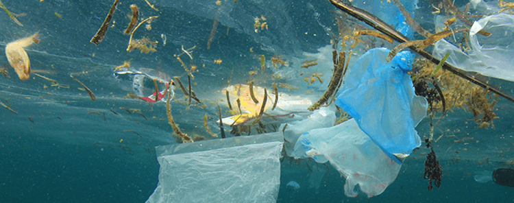 30 countries join global initiative to clean up the world's oceans 1 Plastic Litter in an ocean