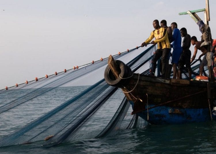 Coastal marine fisheries