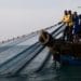 Coastal marine fisheries