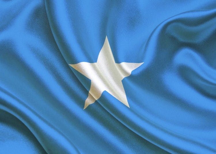 Somalia: African Development Bank helps improve domestic revenue collection 1 Somalia: African Development Bank helps improve domestic revenue collection