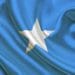 Somalia: African Development Bank helps improve domestic revenue collection 11 Somalia: African Development Bank helps improve domestic revenue collection
