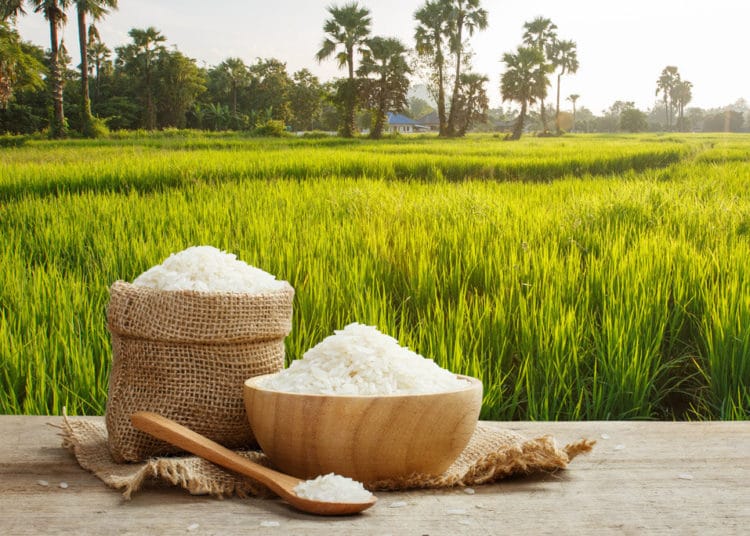 Ghana to achieve rice self-sufficiency, banning rice imports by 2022?