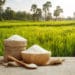 Ghana to achieve rice self-sufficiency, banning rice imports by 2022?