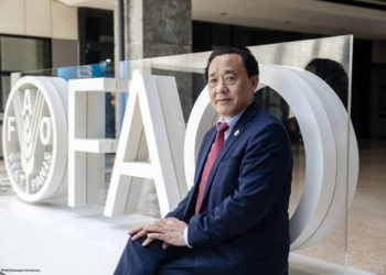 FAO launches new corporate strategy to reduce emissions
