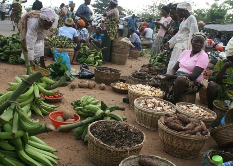 Acute food insecurity soars to five-year high- GNAFC 1 Acute food insecurity soars to five-year high- GNAFC